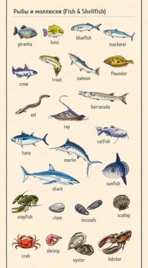 Английский - это просто. 08