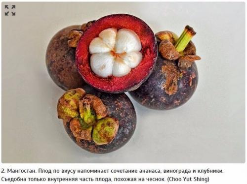 10 самых экзотических фруктов, которые должен попробовать каждый. 01