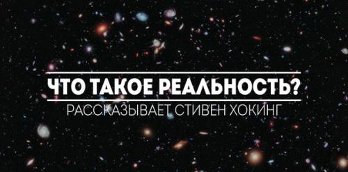 В итальянском городе монца несколько лет назад муниципальный совет запретил жителям держать золотых рыбок в шаровидных аквариумах.