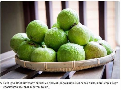 10 самых экзотических фруктов, которые должен попробовать каждый. 04