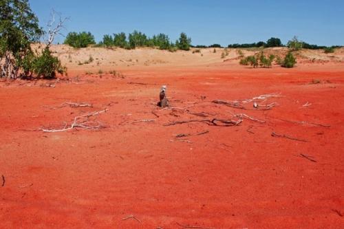 Чёртово игрище или марс в волгоградской области. 03