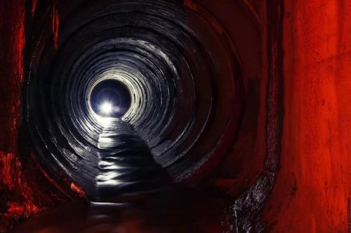 Австралийские гигантские дождевые черви, живущие в холмах юго-западного гипсленда, могут достигать 4 метров в длину. 02