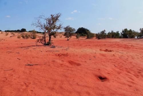 Чёртово игрище или марс в волгоградской области. 02