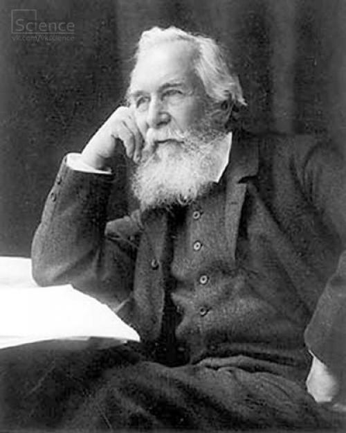 События на 9 августа, вторник. 02