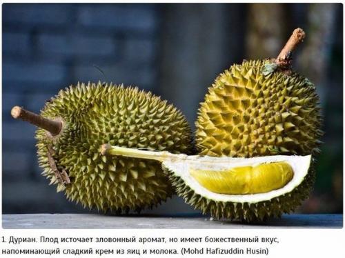 10 самых экзотических фруктов, которые должен попробовать каждый.

