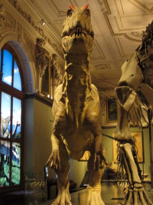 Некоторые экспонаты музея естествознания в вене (Австрия. 03