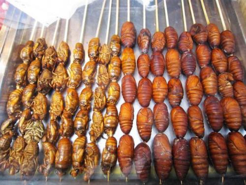 Вы не поверите, но эти 10 насекомых являются съедобными поделитьсярассказать возможно, вы не поверите, но насекомые съедобны. 04 Вы не поверите, но эти 10 насекомых являются съедобными поделитьсярассказать возможно, вы не поверите, но насекомые съедобны. 04