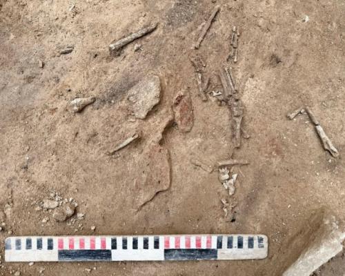 Под Воронежем нашли украшения из морских раковин возрастом 41 000 лет.
