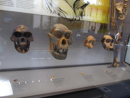 Последняя на сегодня часть экспонатов. 03