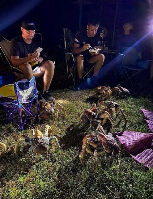 Обычный вечер в Австралии. 04