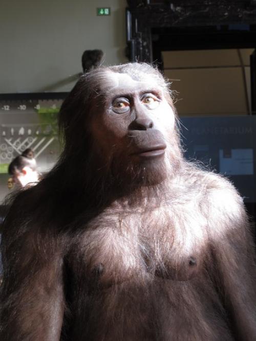 Последняя на сегодня часть экспонатов. 05