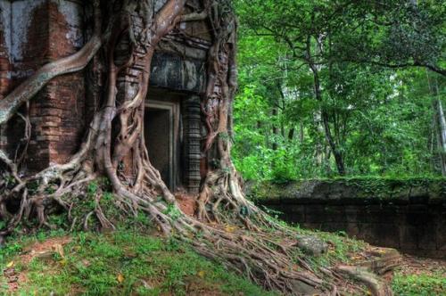 Древний город кох кер. 02 Древний город кох кер. 02