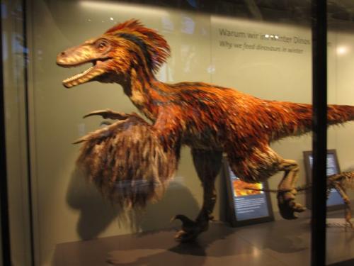 Некоторые экспонаты музея естествознания в вене (Австрия. 04