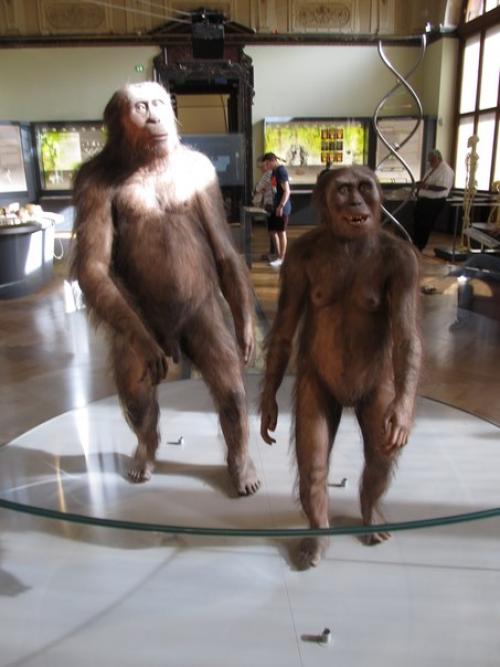 Последняя на сегодня часть экспонатов. 04