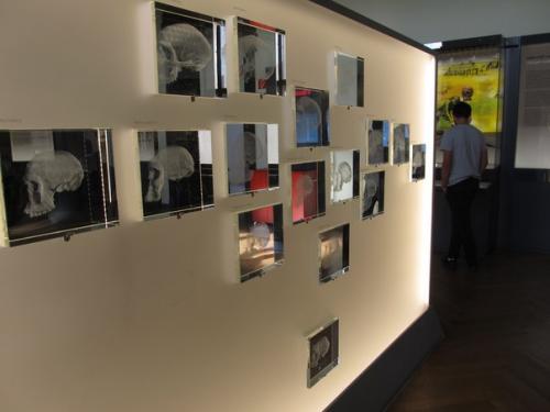 Последняя на сегодня часть экспонатов. 06