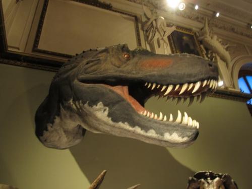 Некоторые экспонаты музея естествознания в вене (Австрия. 01