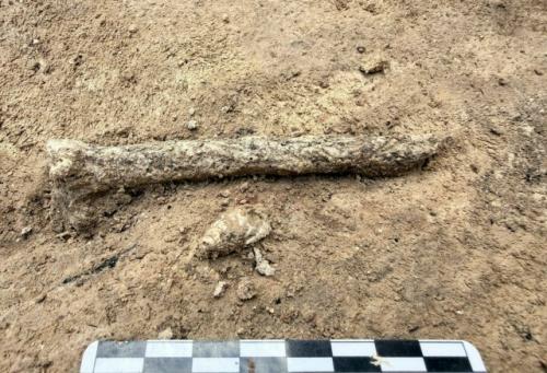Под Воронежем нашли украшения из морских раковин возрастом 41 000 лет. 02 Под Воронежем нашли украшения из морских раковин возрастом 41 000 лет. 02