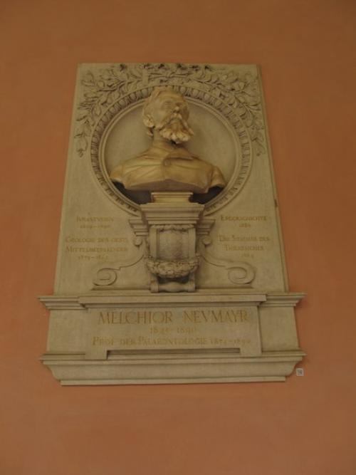 Ещё немного фото из аркаденхофа. 06