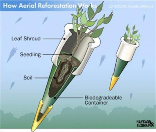 Интересная задумка.

Старые бомбардировщики могут высаживать до 900 000 деревьев в день. 

