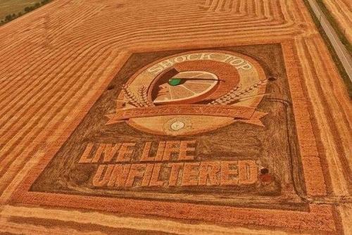 Агроживопись.  Самые большие картины в мире от художника Стэна херда. 04