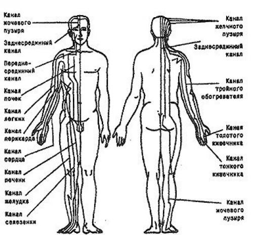 Наука доказала, что энергетические меридианы существуют. 01 Наука доказала, что энергетические меридианы существуют. 01