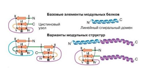 Между ядом и лекарством. Между ядом и лекарством.