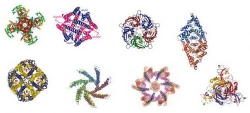 Между ядом и лекарством. 02 Между ядом и лекарством. 02