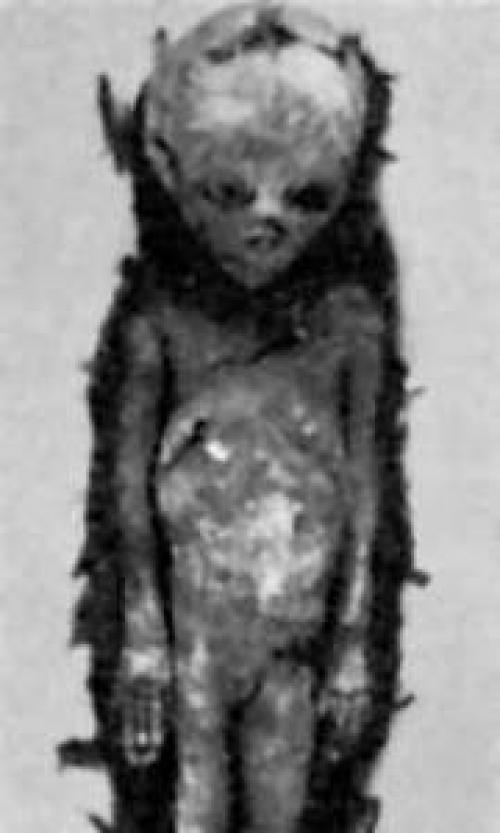 При строительстве дороги найдены. 04