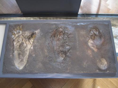 Последняя на сегодня часть экспонатов. 02