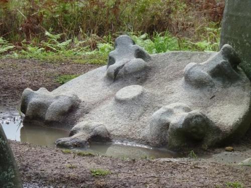 Долина пришельцев в Индонезии. 07 Долина пришельцев в Индонезии. 07