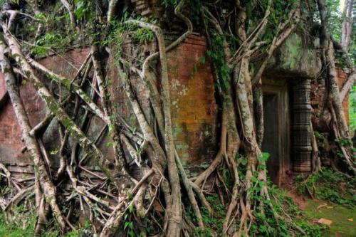 Древний город кох кер. 04 Древний город кох кер. 04