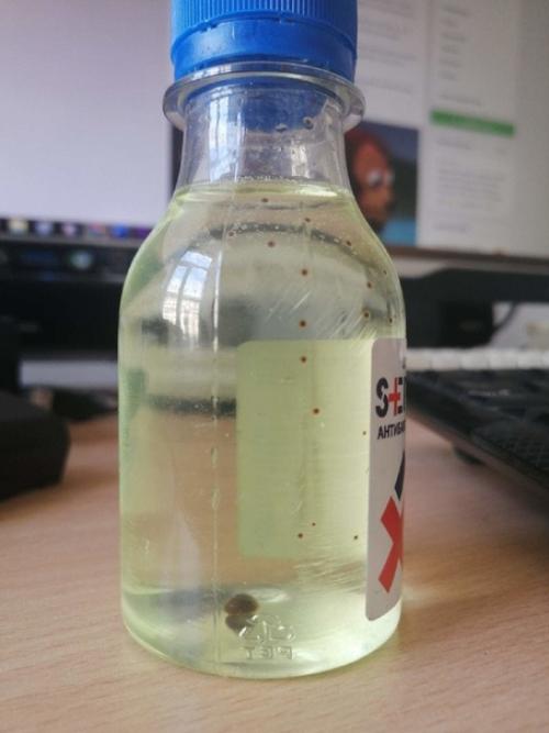 Антибактериальный лосьон несколько месяцев простоял. 02