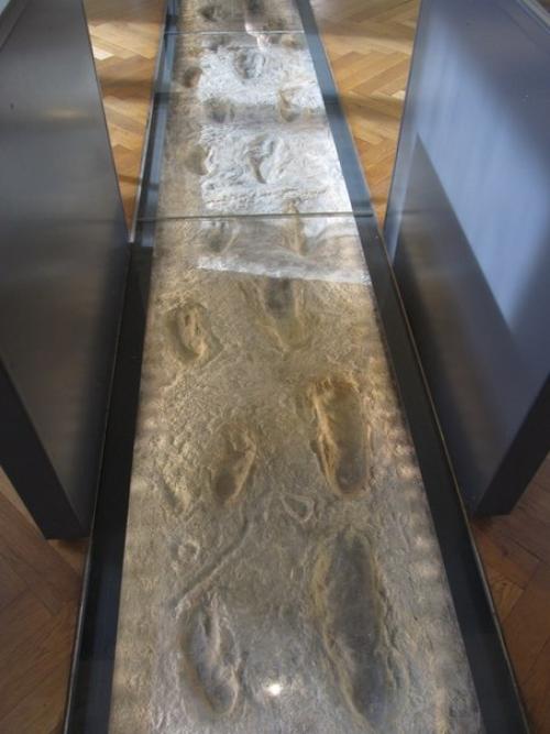 Последняя на сегодня часть экспонатов. 01