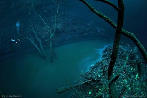 Дайвер реку обнаружил.  