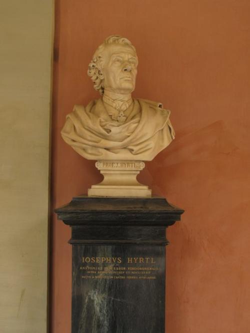 Ещё немного фото из аркаденхофа. 08