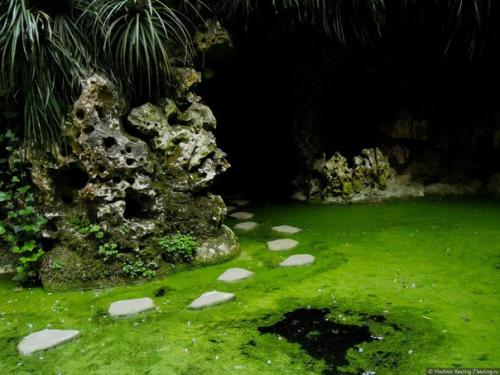 Парк кинта да регалейра. 02 Парк кинта да регалейра. 02