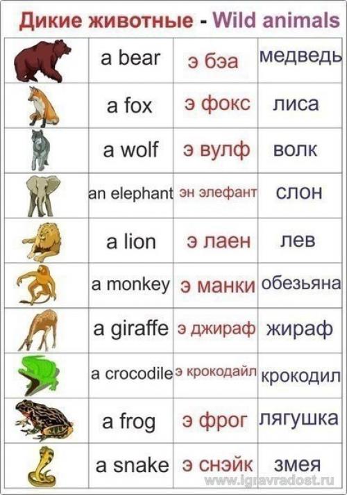 Мы учим английский. 02