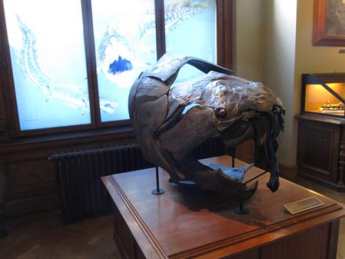 Некоторые экспонаты музея естествознания в вене (Австрия. 07