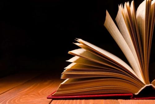 Русский язык является первым языком на котором заговорили в космосе. 02