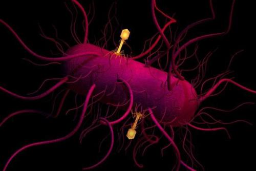 Эффективная взаимосвязь генномодифицированных вирусов и ВИЭ. Эффективная взаимосвязь генномодифицированных вирусов и ВИЭ.