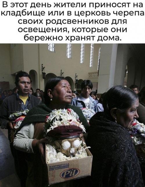 Череп в доме - на удачу. 01