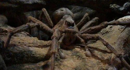 Доисторические пауки из конго. 03