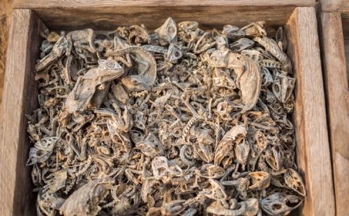 Рынок вуду в Африке. 02