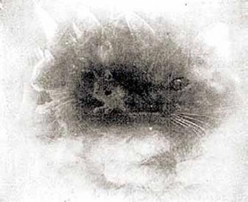 Съёмки по ту сторону реальности. 04 Съёмки по ту сторону реальности. 04