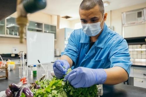 Филлипинский студент смог получить электричество из гнилых овощей и фруктов. 01