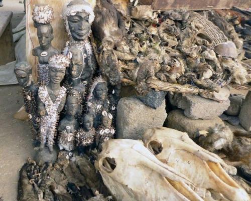 Рынок вуду в Африке. 07