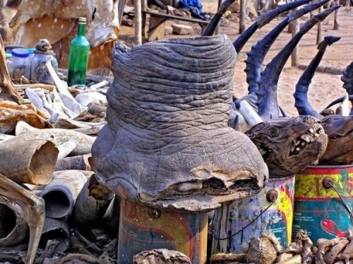 Рынок вуду в Африке. 04