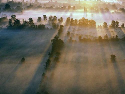 В каждом городе и регионе России есть свои мифы и легенды, которые передают из поколения в поколение. В каждом городе и регионе России есть свои мифы и легенды, которые передают из поколения в поколение.