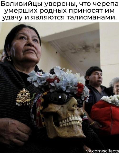 Череп в доме - на удачу. 02