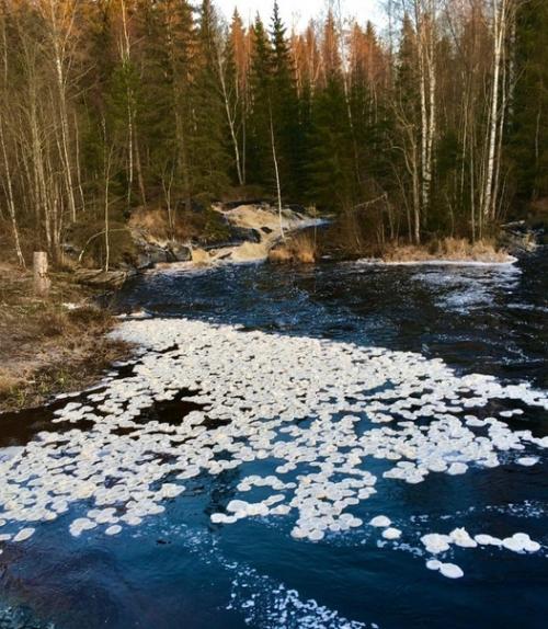 Необычное явление - ледяные блинчики в карельском парке рускеала. 01